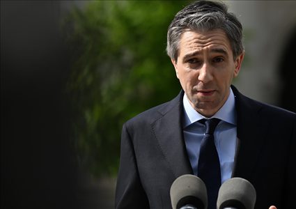 نائب رئيس الوزراء الإيرلندي يؤكد دعم بلاده لحل الدولتين