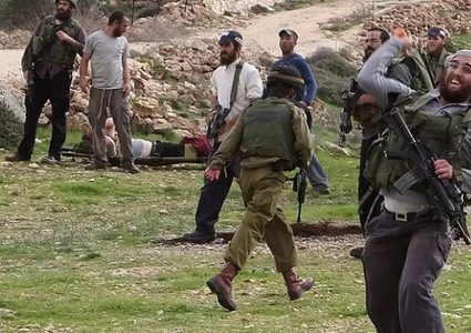 مستوطنون يعتدون على أراضي المواطنين في الأغوار الشمالية