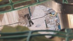 قوات خاصة مدعومة بقوات كبيرة من جيش الاحتلال تقتحم البلدة القديمة في نابلس