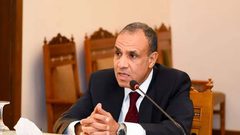 وزير خارجية مصر يؤكد ضرورة إيجاد أفق سياسي للصراع الفلسطيني - الإسرائيلي