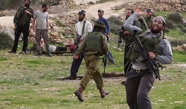 مستوطنون يهاجمون قطيعا من الأغنام في كيسان شرق بيت لحم