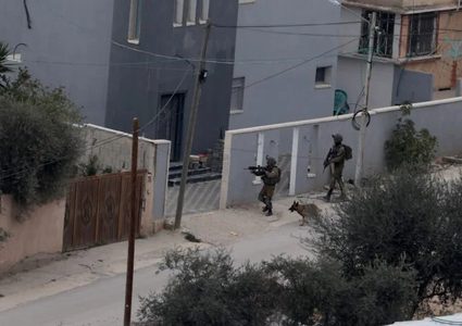 الاحتلال يدمر واجهات متاجر في الجلزون ويقتحم أم الشرايط وقبيا والنبي صالح