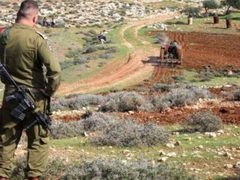 الاحتلال يُصدر قرارا بالاستيلاء على أكثر من 5 دونمات في طمون