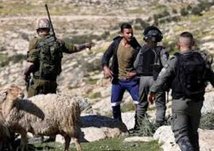 مستوطنون يعتدون على المواطنين والاحتلال يعتقل ثلاثة شرق يطا