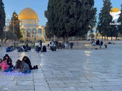 موائد افطار الصائمين في اليوم الثاني لشهر رمضان المبارك في اولى القبلتين وثالث الحرمين