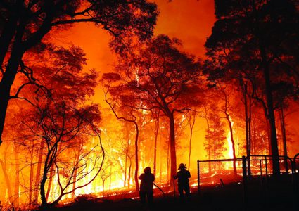 اليابان: حرائق الغابات تواصل انتشارها وتلتهم 1800 هكتار