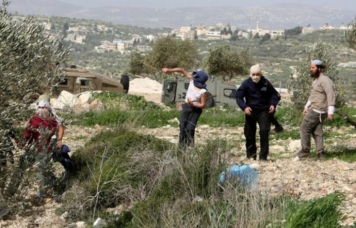 مستوطنون يهاجمون المواطنين وممتلكاتهم في مسافر يطا والجيش يعتقل 3 مواطنين
