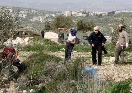 مستوطنون يهاجمون المواطنين وممتلكاتهم في مسافر يطا والجيش يعتقل 3 مواطنين