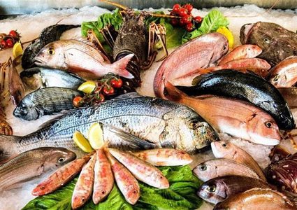 دراسة: تناول الأطفال للأسماك يجعلهم أكثر اجتماعية ولطفاً