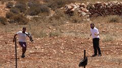 مستوطنون يخربون شبكتي انترنت وكهرباء في الأغوار الشمالية الأغوار