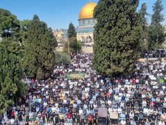 80 ألف مصل يؤدون الجمعة الثانية من رمضان في الأقصى