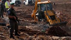 الاحتلال يواصل تجريف أراضٍ واقتلاع أشجار زيتون غرب سلفيت