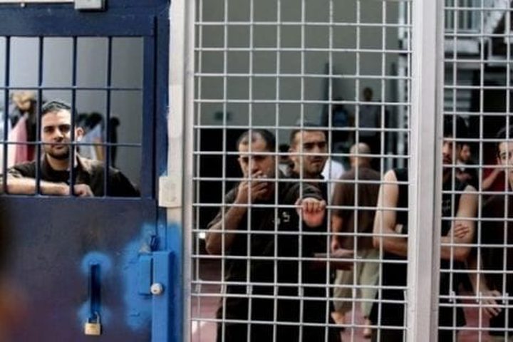 "هيئة الأسرى" تحذر من انتشار فيروس خطير في قسم (3) من سجن "مجيدو"