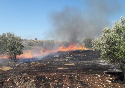 مستوطنون يضرمون النار في خيام البدو غرب سلفيت