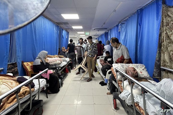 العاهل الأردني يؤكد ضرورة تحرك المجتمع الدولي فورا لوقف حرب الابادة على غزة