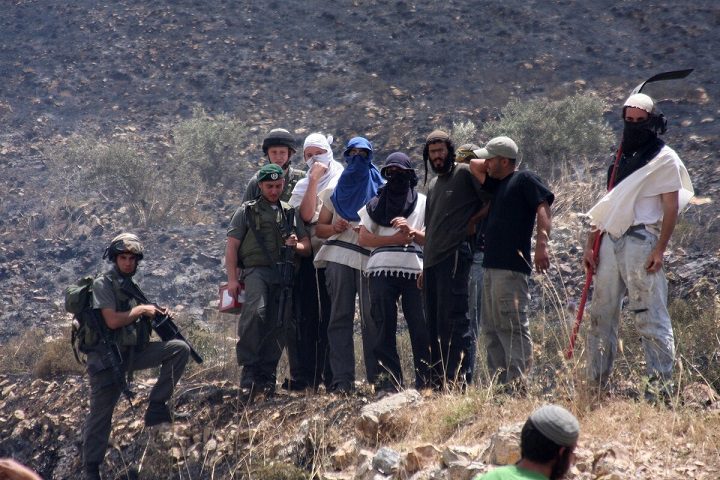 مستعمرون يطردون رعاة الاغنام في يطا