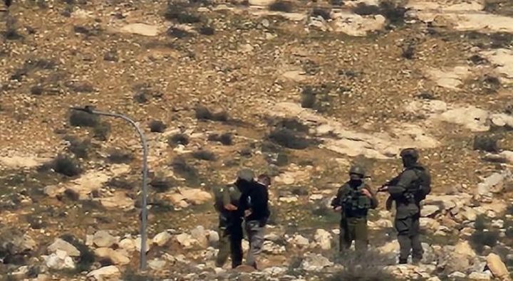 الاحتلال يعتقل راعيًا في مسافر يطا