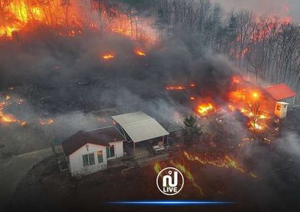 ارتفاع حصيلة القتلى إلى 24 بحرائق الغابات في كوريا الجنوبية