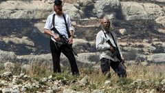 الأغوار الشمالية: مستوطنون يرعون مواشيهم في محاصيل المواطنين