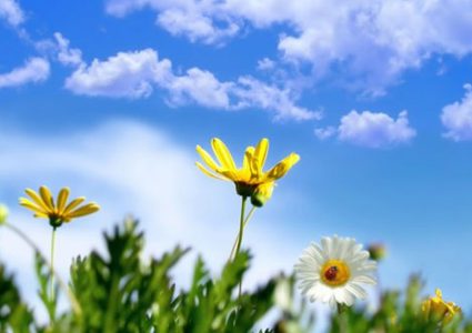 حالة الطقس: أجواء ربيعية معتدلة