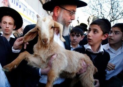 "جماعات الهيكل" تدعو للبدء بذبح القرابين في الأقصى اليوم