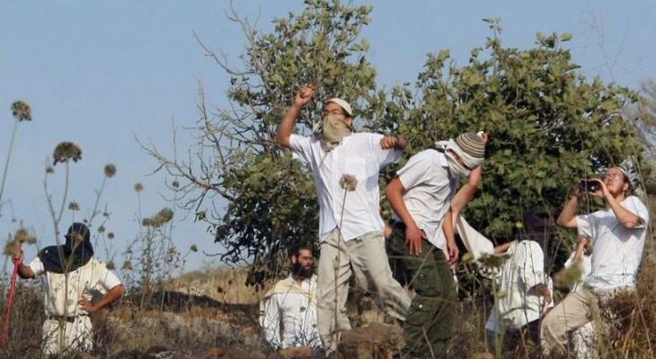 مستوطنون بحماية قوات الاحتلال يهاجمون رعاة أغنام في المنية شرق بيت لحم