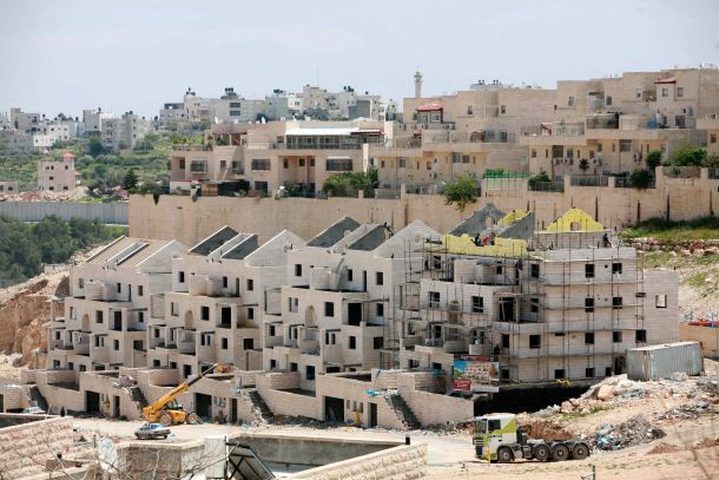 مقاومة الجدار:الاحتلال يخطط لإقامة حي استيطاني على أراضي محافظتي قلقيلية و سلفيت