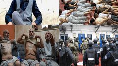 الاحتلال يقتل في كل مكان... وينتهج سياسة "الموت البطيء" بحق الأسرى الفلسطينيين