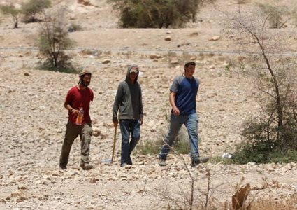 مستوطنون يهاجمون أهالي عرب المليحات غرب أريحا