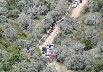 إصابات بجروح ورضوض إثر اعتداء مستوطنين على مواطنين في فرخة وبديا