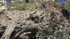 آثار الدمار الذي خلفه الاحتلال بعد عمليات تجريف في محيط بلدة برقين