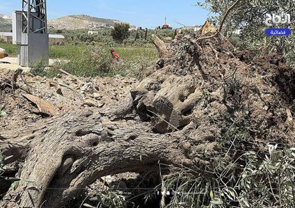 آثار الدمار الذي خلفه الاحتلال بعد عمليات تجريف في محيط بلدة برقين