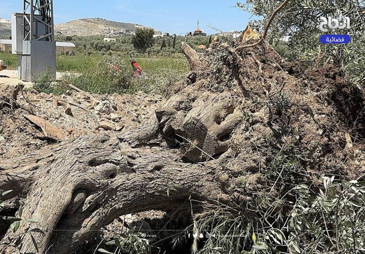 آثار الدمار الذي خلفه الاحتلال بعد عمليات تجريف في محيط بلدة برقين