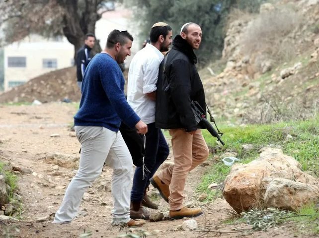 مستوطنون يعتدون على ممتلكات المواطنين في وادي قانا شمال غرب سلفيت