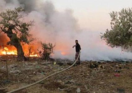 إصابات وإحراق منشآت زراعية في هجوم للمستوطنين على بلدة سنجل شمال رام الله