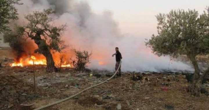 إصابات وإحراق منشآت زراعية في هجوم للمستوطنين على بلدة سنجل شمال رام الله