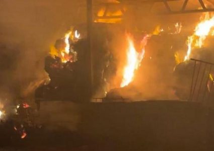 إصابة 5 مواطنين بالرصاص .. مستوطنون يضرمون النار في خيام وحظائر ماشية في بردلة