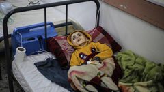 مدير مستشفى شهداء الأقصى: قطاع غزة دخل المرحلة الخامسة من سوء التغذية وهي الأخطر