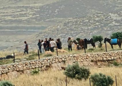 مستعمرون يسيجون ابار مياه في الاغوار الشمالية