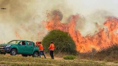 اندلاع حريق كبير في أحد أحراش جبال القدس