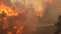 الحرائق تتوسع في أحراش القدس .. وإسرائيل تطلب المساعدة الدولية