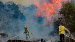 بعد أكثر من 24 ساعة على اندلاعها..إعلان السيطرة على الحرائق في جبال القدس