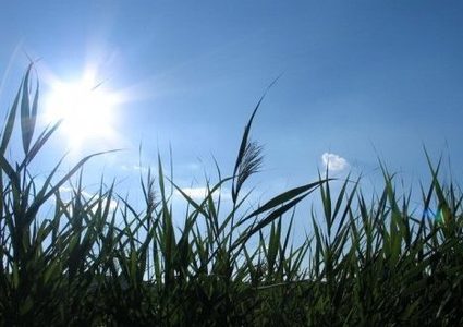 الطقس: أجواء ربيعية وانخفاض ملموس على درجات الحرارة