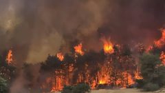 نتنياهو يعلن اعتقال 18 شخصاً للاشتباه بتورطهم في إشعال حرائق الغابات