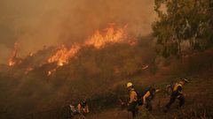 استمرار حرائق جبال القدس والنيران تلتهم 24 ألف دونم