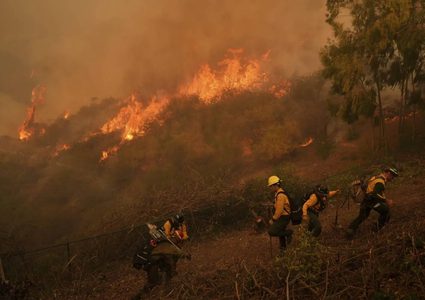 استمرار حرائق جبال القدس والنيران تلتهم 24 ألف دونم