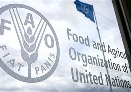 الفاو: أسعار الغذاء العالمية ترتفع إلى أعلى مستوى منذ عامين في نيسان