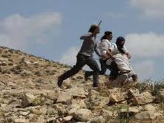 مستعمرون يعتدون على ممتلكات المواطنين في العوجا