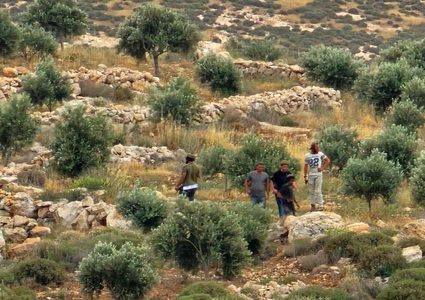مستوطنون يهاجمون المواطنين في قرية المغير