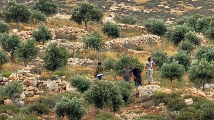 مستوطنون يهاجمون المواطنين في قرية المغير